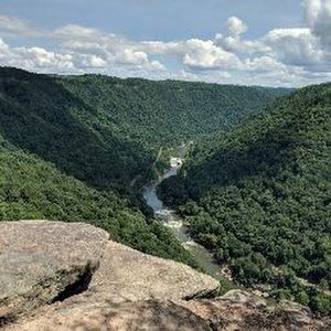 Meet your Posher, Logan